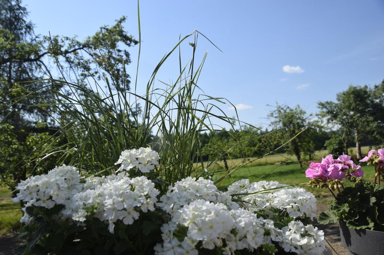 Nowa Kamienica 11 Villa Stara Kamienica ภายนอก รูปภาพ
