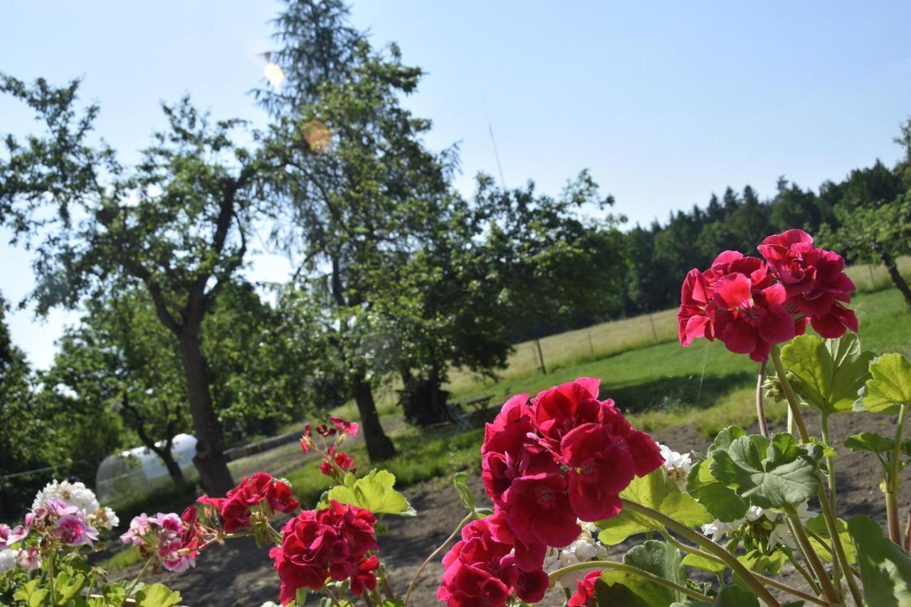Nowa Kamienica 11 Villa Stara Kamienica ภายนอก รูปภาพ