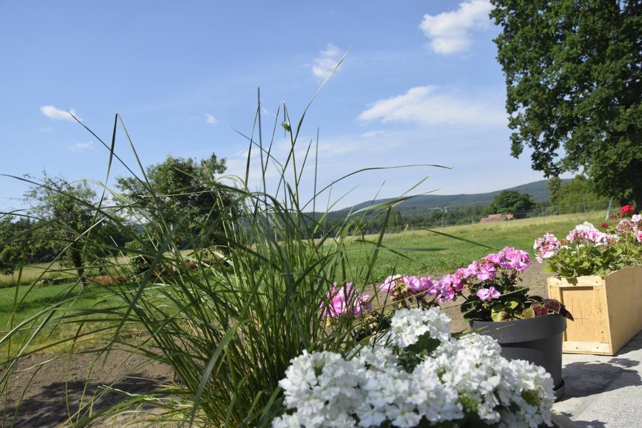 Nowa Kamienica 11 Villa Stara Kamienica ภายนอก รูปภาพ