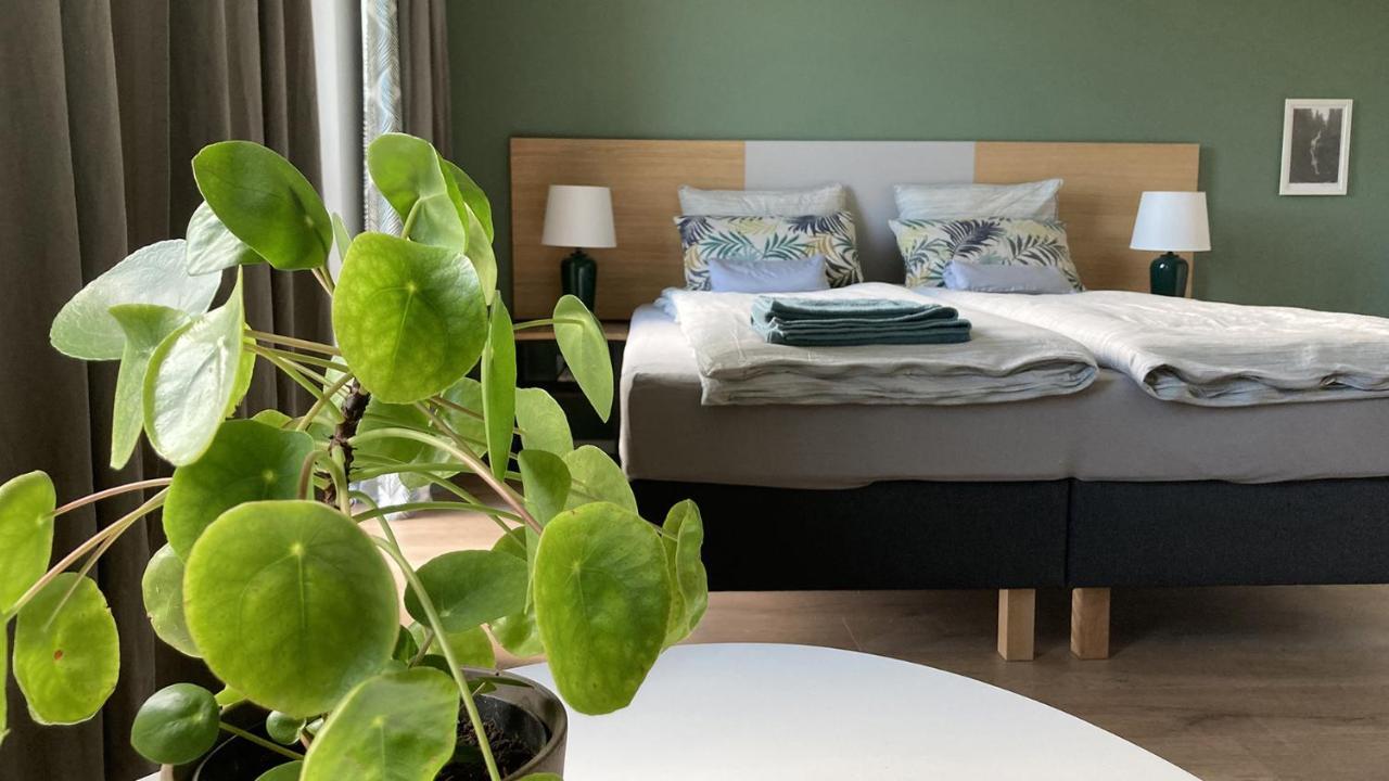 Nowa Kamienica 11 Villa Stara Kamienica ภายนอก รูปภาพ